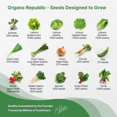 30 Winter Vegetable Seeds Variety Pack - 33,200+ Non GMO Heirloom Seeds for Planting - Organo Republic