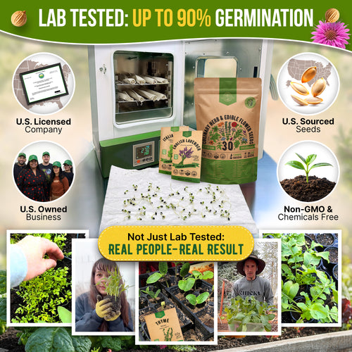 herb and flower seeds Organo Republic - 30 Culinary Herb & Edible Flower Seeds Varieties