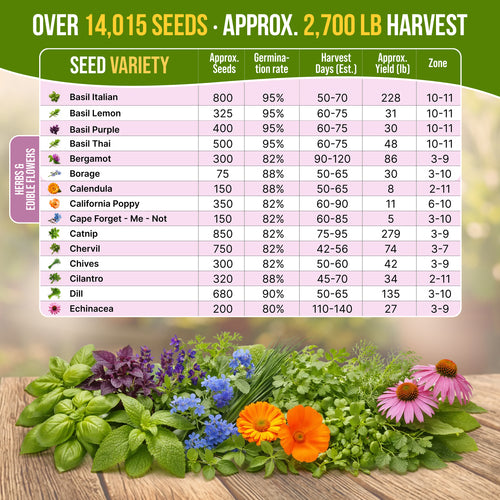 herb and flower seeds Organo Republic - 30 Culinary Herb & Edible Flower Seeds Varieties