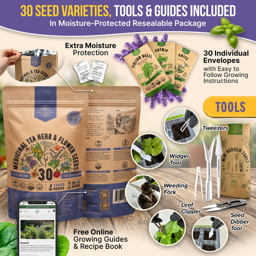 30 Medicinal Tea Herb & Flower Seeds Variety Pack