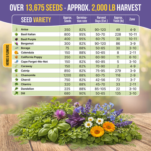 30 Medicinal Tea Herb & Flower Seeds Variety Pack