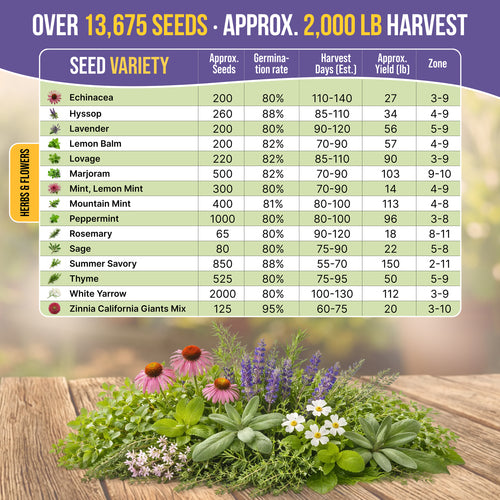 30 Medicinal Tea Herb & Flower Seeds Variety Pack