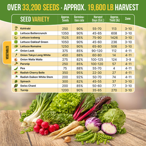 30 Most Popular Winter Vegetable Seeds Variety Pack