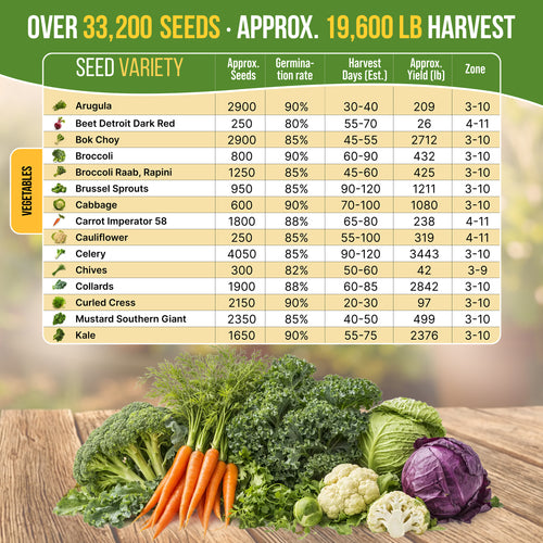30 Most Popular Winter Vegetable Seeds Variety Pack