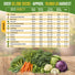 30 Most Popular Winter Vegetable Seeds Variety Pack