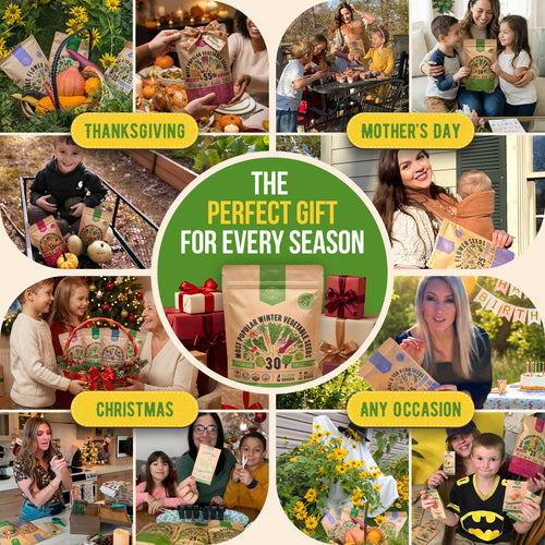 30 Most Popular Winter Vegetable Seeds Variety Pack