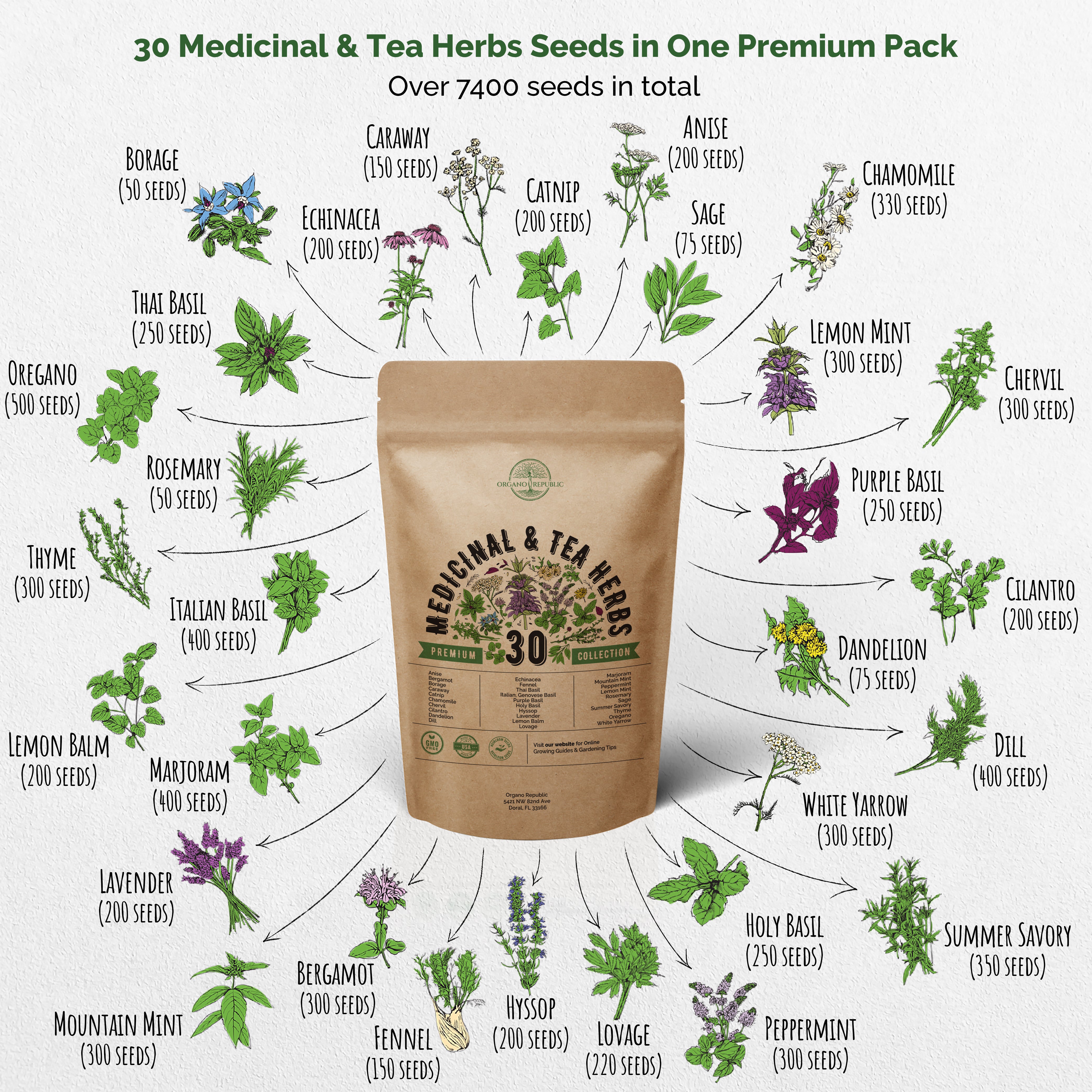 30 Medicinal & Tea Herb Seeds Variety Pack for Planting Indoor & Outdoors