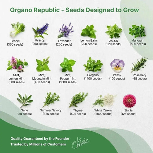 35 Medicinal & Tea Herb Seeds Variety Pack for Planting Indoor & Outdoors. 16,200+ Non - GMO Heirloom Herbal Garden Seeds: Anise, Bergamot, Borage, Cilantro, Chamomile, Dandelion, Rosemary Seeds & More - Organo Republic