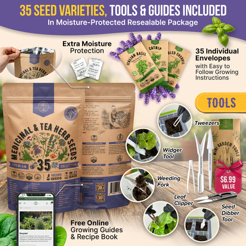 35 Medicinal & Tea Herb Seeds Variety Pack