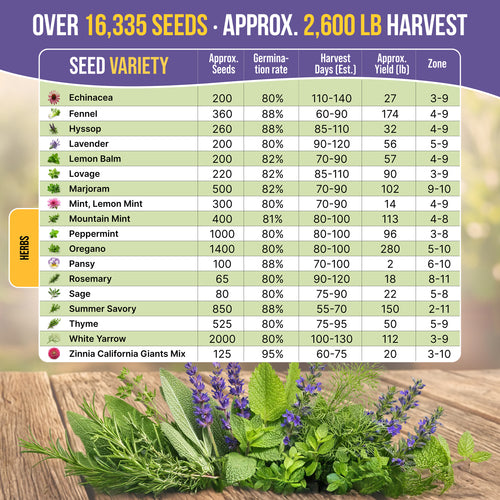 35 Medicinal & Tea Herb Seeds Variety Pack