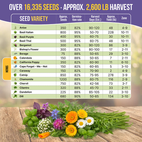 35 Medicinal & Tea Herb Seeds Variety Pack