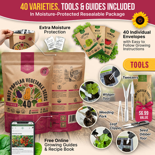 40 Vegetable Seeds Variety Pack