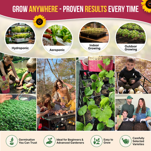 40 Vegetable Seeds Variety Pack