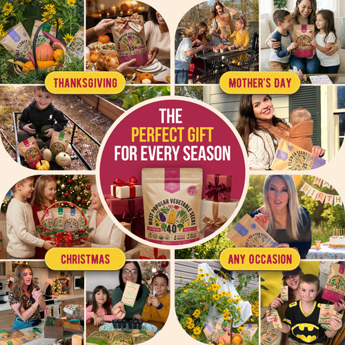 40 Vegetable Seeds Variety Pack