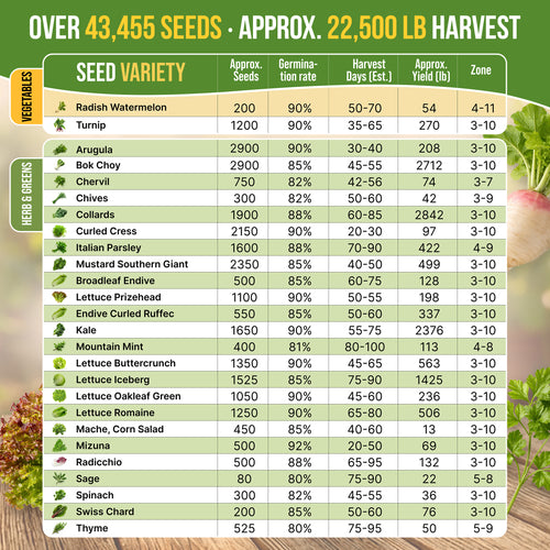 50 Winter Vegetable Garden Seeds Variety Pack