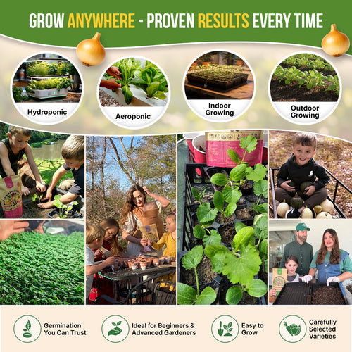 50 Winter Vegetable Garden Seeds Variety Pack