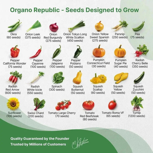 55 Vegetable Seeds Variety Pack - 35,600 Non - GMO Heirloom Seeds for Planting Vegetables and Fruits - Organo Republic