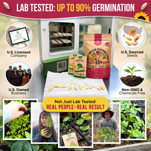 55 Vegetable Seeds Variety Pack