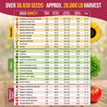 55 Vegetable Seeds Variety Pack