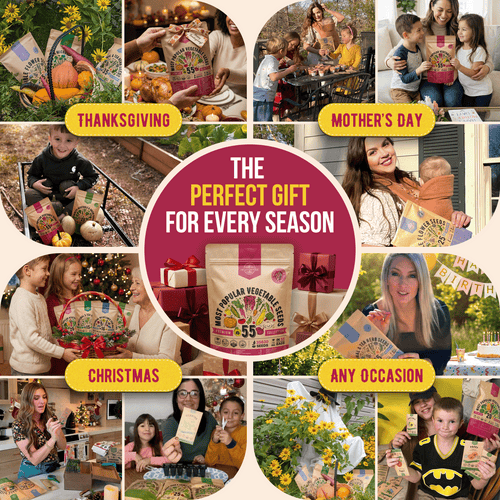 55 Vegetable Seeds Variety Pack