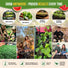 7 Melon & Watermelon Seeds Variety Pack