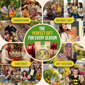 7 Melon & Watermelon Seeds Variety Pack