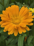 Review image 4