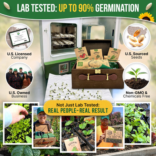 75 Greens & Vegetable Seeds Variety Pack Organo Republic
