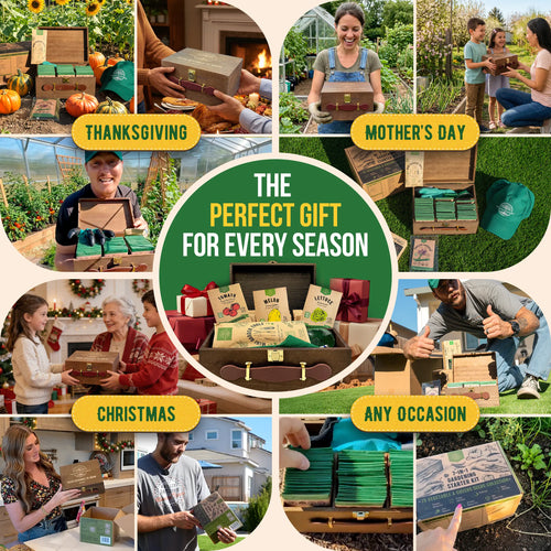 75 Greens & Vegetable Seeds Variety Pack Organo Republic