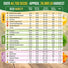 75 Herb & Vegetable Seeds Variety Pack Organo Republic