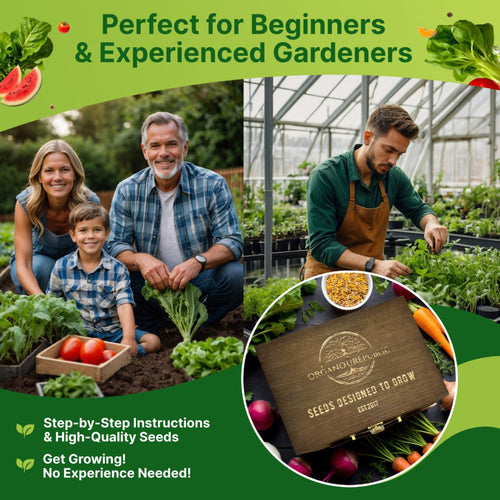 75 Greens & Vegetable Seeds Variety Pack, Garden Seed Starter Kit - Over 44,700 Non - GMO Heirloom Seeds for Planting Vegetables and Greens Garden Seeds Gift Seed Box with Gardening Supplies, Survival Kit - Organo Republic