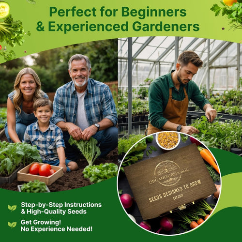 75 Herb & Vegetable Seeds Variety Pack, Garden Seed Starter Kit - Over 47,380 Non - GMO Heirloom Seeds for Planting Vegetables and Herbs Garden Seeds Gift Seed Box with Gardening Supplies, Survival Kit - Organo Republic