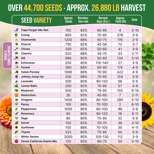 75 Herb & Vegetable Seeds Variety Pack