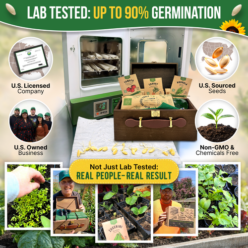 non gmo garden seed companies 75 Herb & Vegetable Seeds Kit