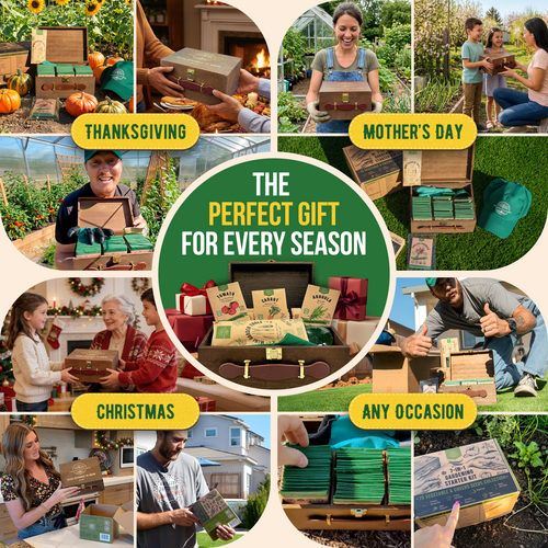 75 Herb & Vegetable Seeds Variety Pack