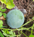 Review image 3