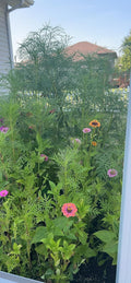 Review image 3