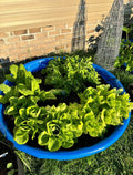 Review image 4