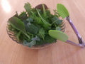 Review image 2