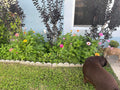 Review image 2