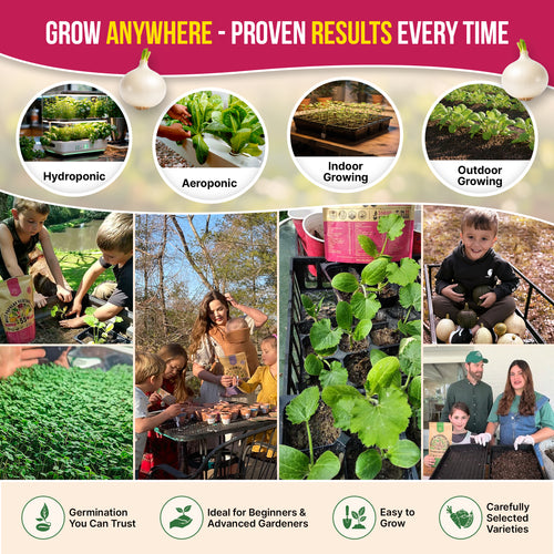 8 Onion Seeds Variety Pack