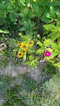 Review image 2