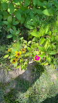Review image 3