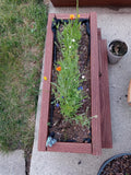 Review image 1