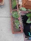 Review image 2