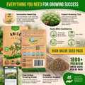 Anise Seeds Pack 5G