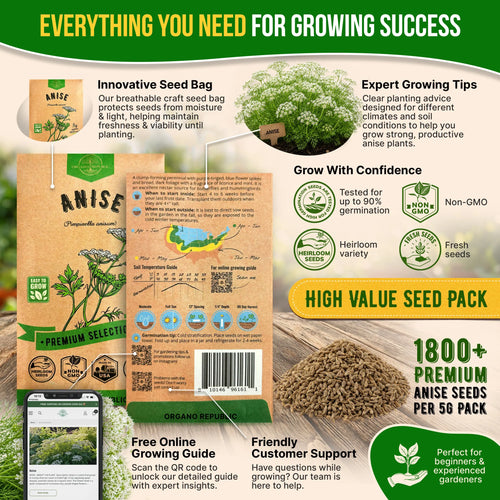 Anise Seeds Pack 5G
