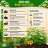 Anise Seeds Pack 5G