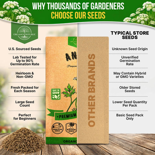 Anise Seeds Pack 5G