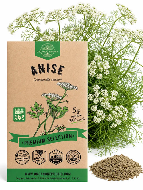 Anise Seeds